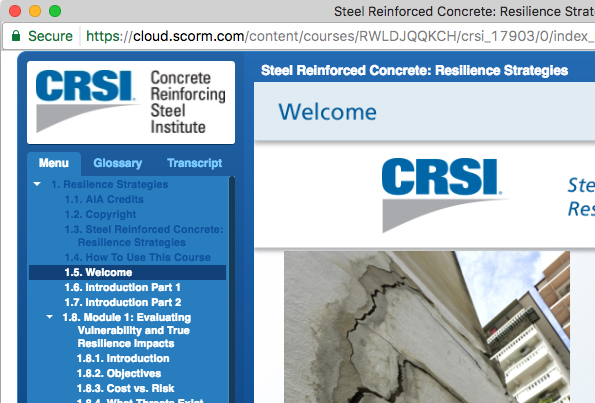 Steel Reinforced Concrete: Resilience